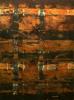 Rost